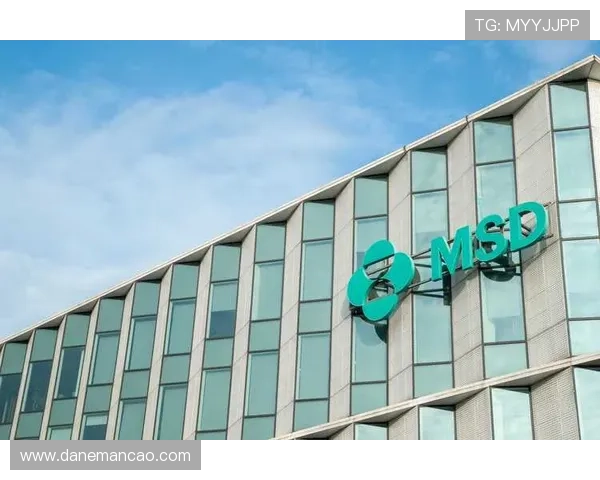 z6尊龙官方网站官网入口提供最全的客户端下载与安装步骤详细指南